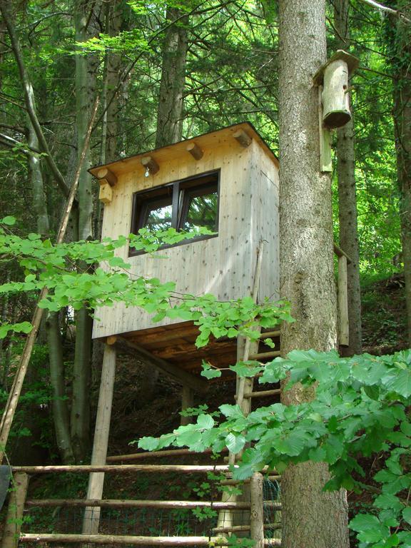 ファイステナウ Landhaus Teufl Bed & Breakfast エクステリア 写真